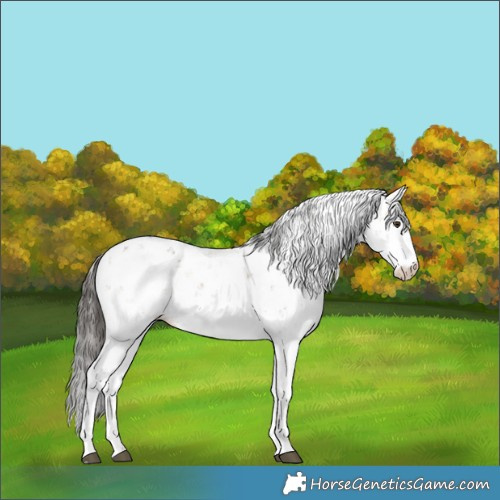 Horse Color:Liver Red Dun Sabino