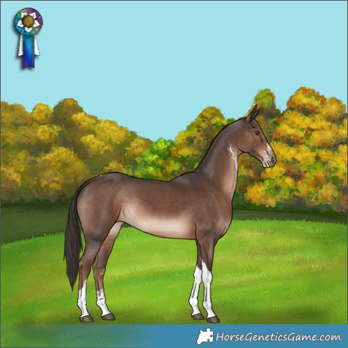 Horse Color:Liver Chestnut Sabino Tobiano Rabicano 