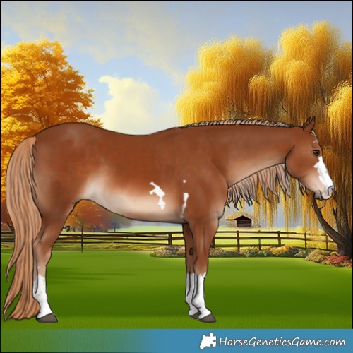 Horse Color:Chestnut and Chestnut