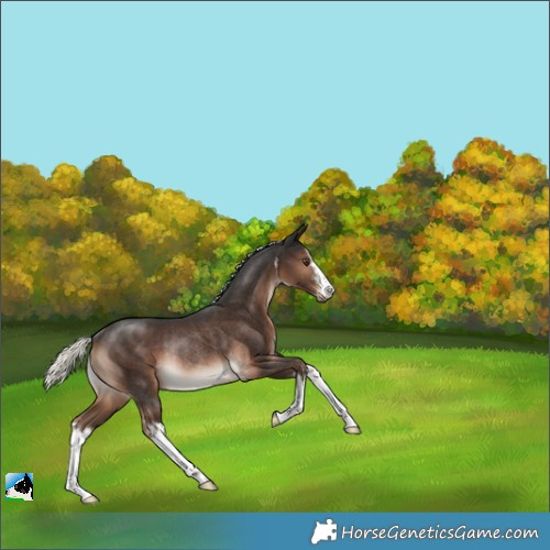 Horse Color:White Spotted Liver Chestnut Mushroom Rabicano 