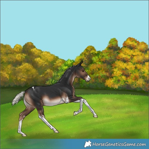 Horse Color:White Spotted Liver Chestnut Mushroom Tobiano 