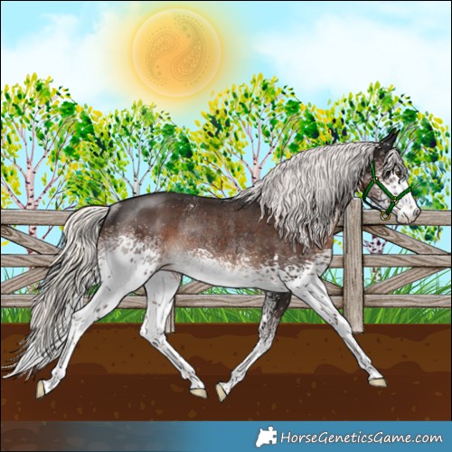 Horse Color:White Spotted Liver Chestnut Mushroom Rabicano 