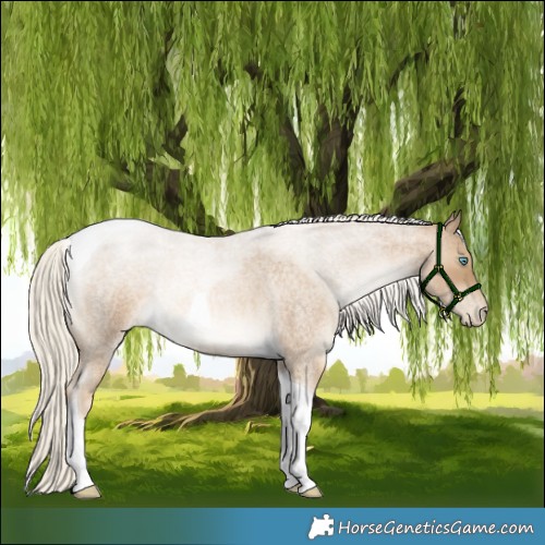 Horse Color:Chocolate Palomino Roan Snowdrop Mushroom Tobiano 