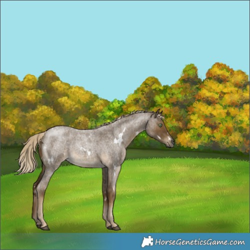 Horse Color:White Spotted Chocolate Palomino Roan Mushroom 