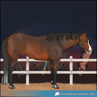 Horse Color:Bay Splash 