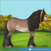Horse Color:Bay Dun and Bay Dun