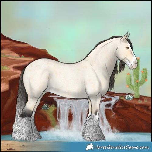 Horse Color:Buckskin Roan Dun Splash 