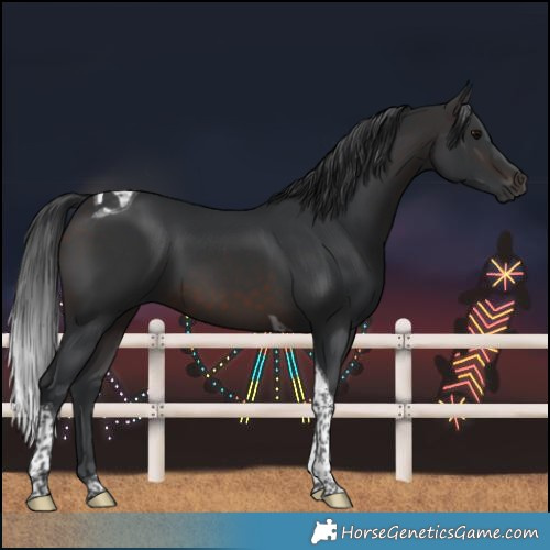 Horse Color:Brown Tobiano 