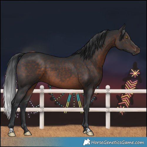 Horse Color:Brown 