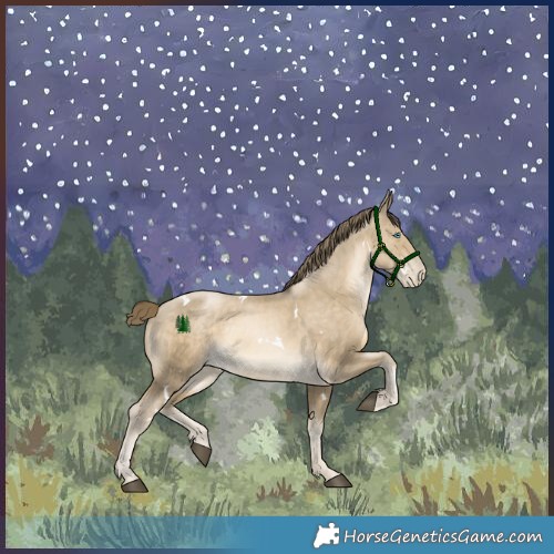 Horse Color:White Spotted Smoky Black Snowdrop 