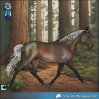 Horse Color:Liver Chestnut Mushroom Rabicano 