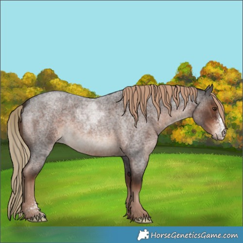 Horse Color:Liver Red Roan Sabino Rabicano