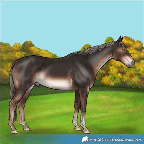 Horse Color:Liver Chestnut Mushroom Tobiano Rabicano