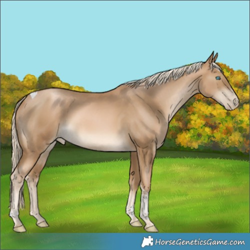 Horse Color:Chocolate Palomino Pearl Tobiano Rabicano 