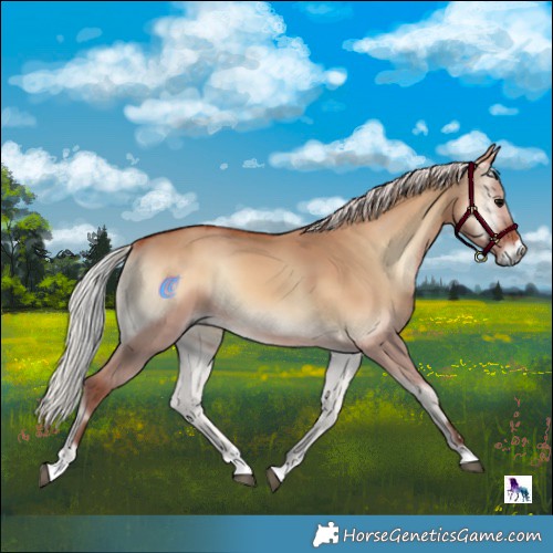 Horse Color:Silver Bay Onyx 
