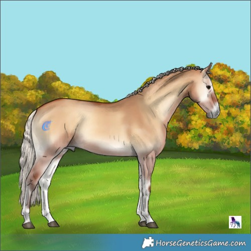 Horse Color:Silver Bay Onyx