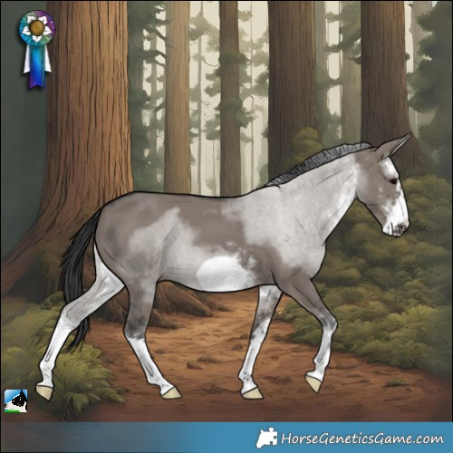 Horse Color:White Spotted Grullo Frame
