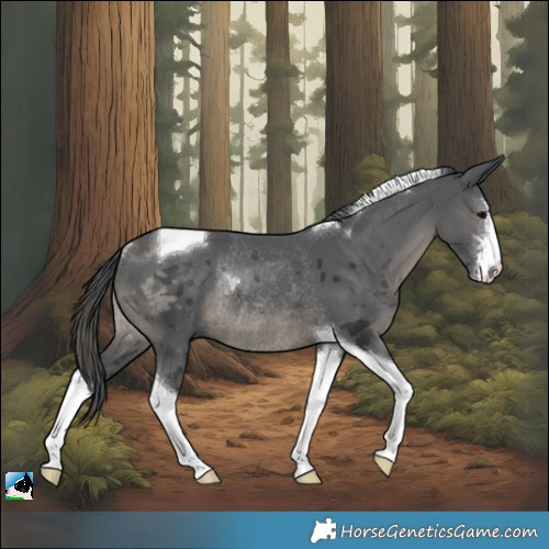 Horse Color:White Spotted Black Merle Tobiano Rabicano