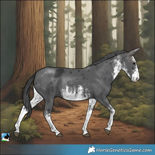 Horse Color:White Spotted Black Merle Rabicano