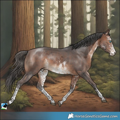 Horse Color:White Spotted Brown Merle Rabicano 