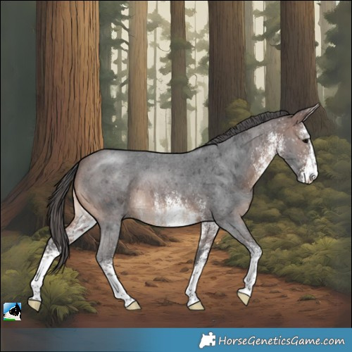 Horse Color:White Spotted Brown Merle Rabicano
