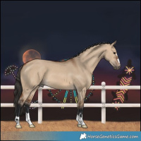 Horse Color:Bay Dun
