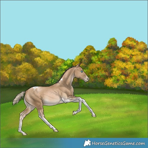 Horse Color:Chocolate Palomino Pearl Mushroom Tobiano 