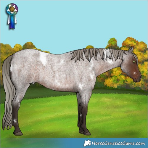 Horse Color:White Spotted Liver Red Roan Mushroom Rabicano 
