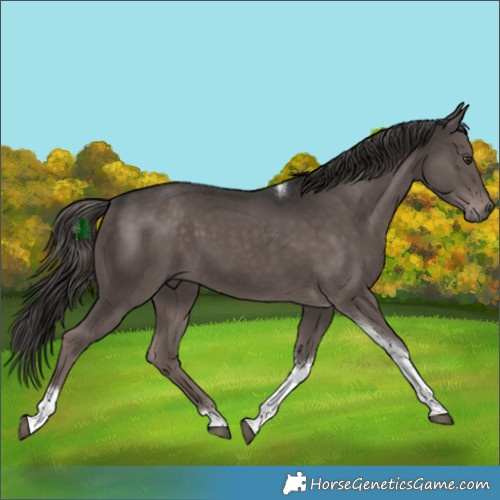 Horse Color:Platinum Liver Chestnut Tobiano