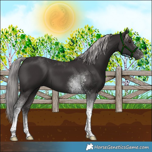 Horse Color:Platinum Liver Chestnut Tobiano 