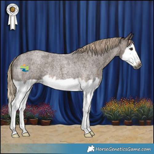 Horse Color:Gray Chocolate Palomino Roan Splash Frame Appaloosa Rabicano 