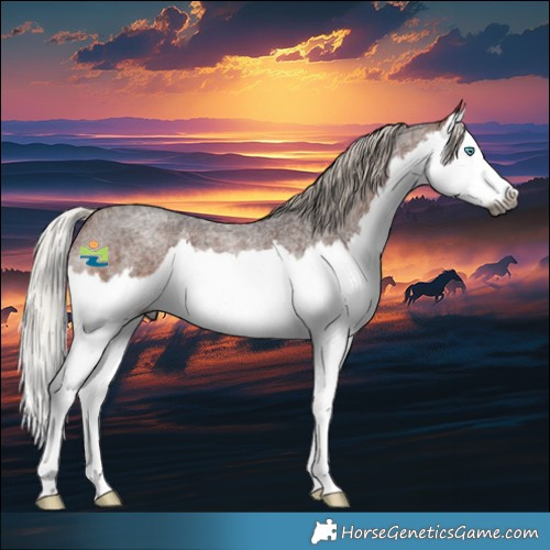Horse Color:Gray Silver Bay Roan Splash