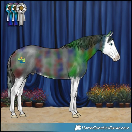 Horse Color:Nacre Black Splash Appaloosa 