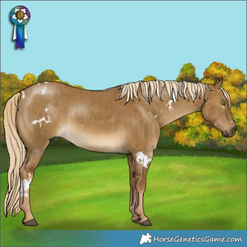 Horse Color:White Spotted Chocolate Palomino Dun Mushroom Rabicano Brindle 
