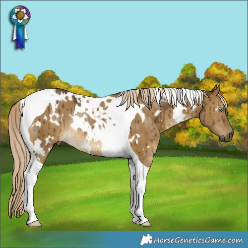 Horse Color:White Spotted Chocolate Palomino Dun Mushroom Tobiano Rabicano Brindle