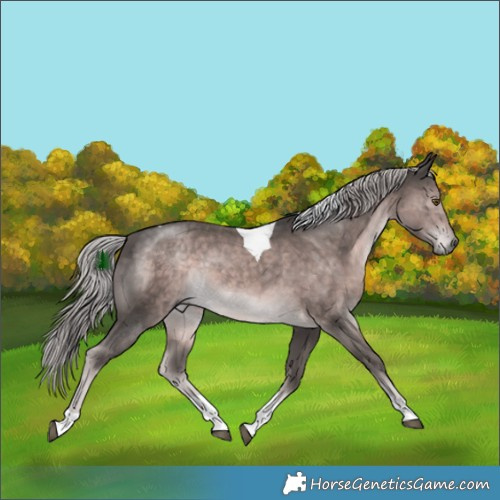 Horse Color:Platinum Chocolate Palomino Tobiano 