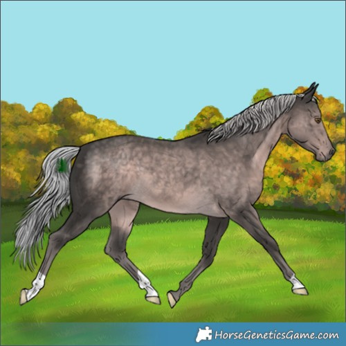 Horse Color:Platinum Chocolate Palomino 