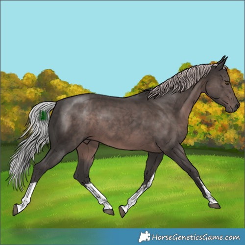Horse Color:Platinum White Spotted Liver Chestnut 