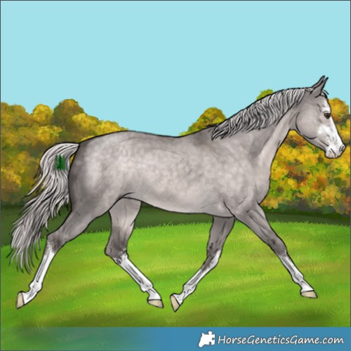 Horse Color:Platinum White Spotted Chocolate Palomino Dun 