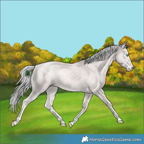 Horse Color:Platinum White Spotted Cremello Tobiano