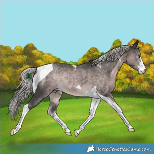 Horse Color:Platinum White Spotted Chocolate Palomino Mushroom Tobiano Rabicano