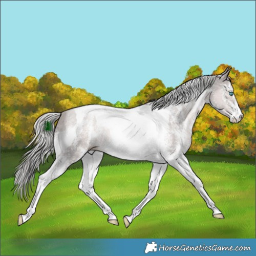 Horse Color:Platinum Chocolate Palomino Pearl Mushroom Sabino Tobiano