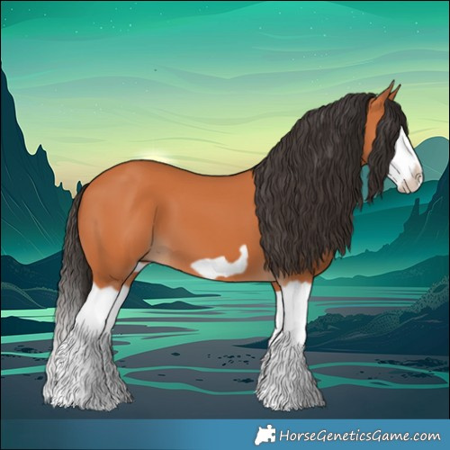 Horse Color:Bay Splash Frame