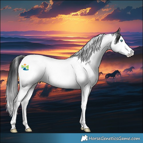 Horse Color:Blue Roan Splash Tobiano
