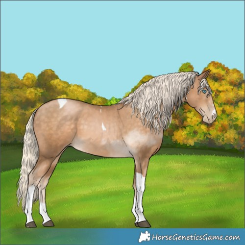 Horse Color:Chocolate Palomino Pearl Tobiano 