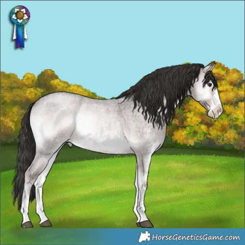 Horse Color:Platinum Liver Red Onyx Roan Sabino Rabicano