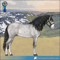 Horse Color:Platinum Liver Red Roan Sabino Rabicano