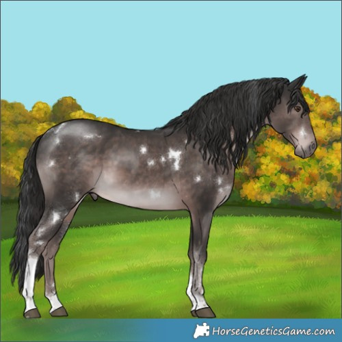 Horse Color:Platinum White Spotted Liver Chestnut Tobiano 