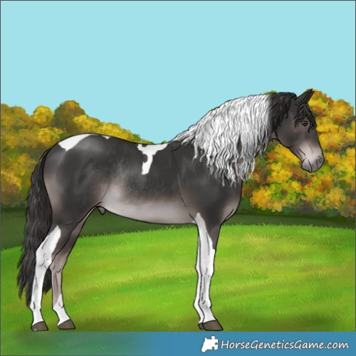 Horse Color:Platinum Liver Chestnut Tobiano Rabicano 