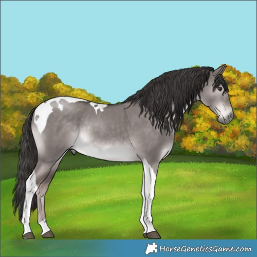 Horse Color:Platinum Liver Red Dun Tobiano Rabicano 